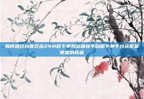 如何通过抖音双击24小时下单网站和快手自助下单平台获取最便宜的商品