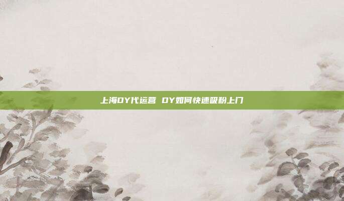 上海DY代运营 DY如何快速吸粉上门