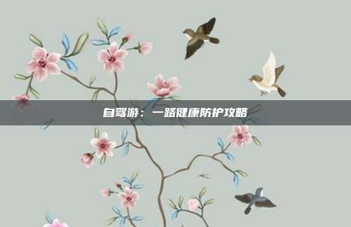 自驾游：一路健康防护攻略