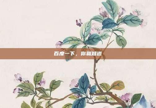 百度一下，你就知道