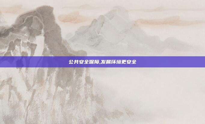 公共安全保障,发展环境更安全