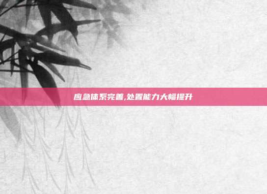 应急体系完善,处置能力大幅提升