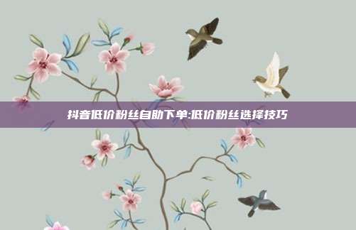 抖音低价粉丝自助下单:低价粉丝选择技巧