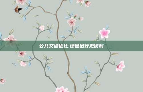 公共交通优化,绿色出行更便利