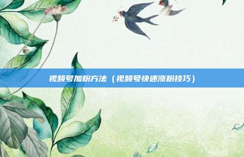 视频号加粉方法(视频号快速涨粉技巧)
