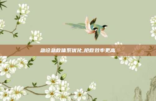 急诊急救体系优化,抢救效率更高