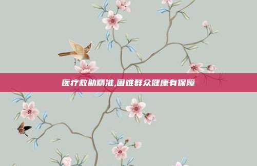 医疗救助精准,困难群众健康有保障