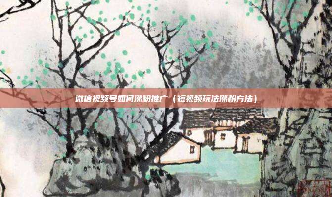 微信视频号如何涨粉推广(短视频玩法涨粉方法)