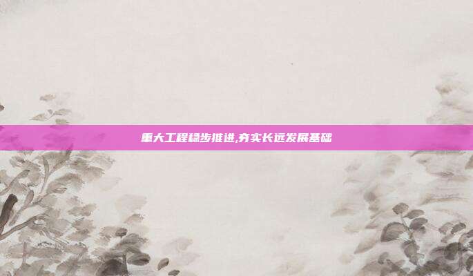 重大工程稳步推进,夯实长远发展基础