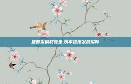 统筹发展和安全,筑牢稳定发展屏障