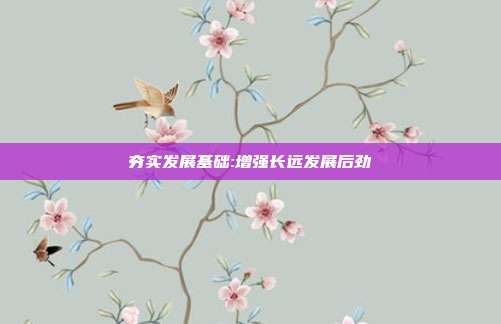 夯实发展基础:增强长远发展后劲