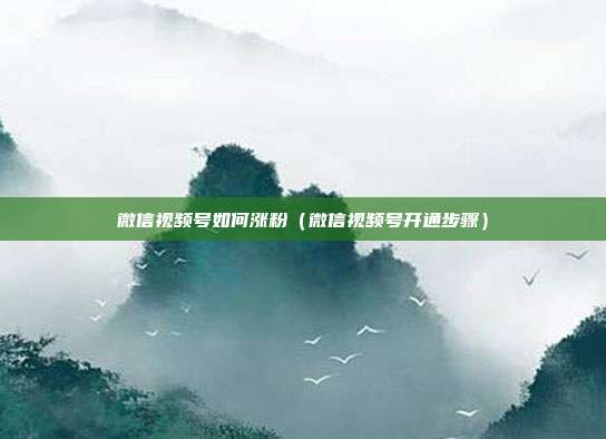 微信视频号如何涨粉(微信视频号开通步骤)