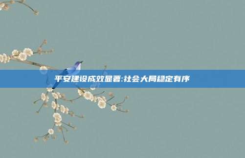 平安建设成效显著:社会大局稳定有序