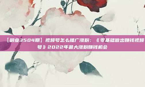 【副业3504期】视频号怎么推广涨粉：《零基础做出赚钱视频号》2022年最大涨粉赚钱机会