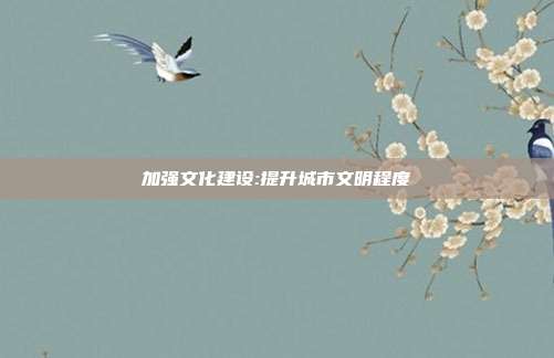 加强文化建设:提升城市文明程度