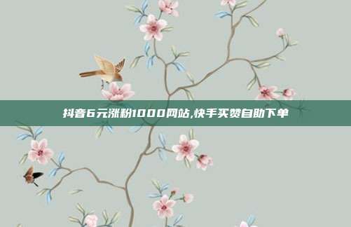 抖音6元涨粉1000网站,快手买赞自助下单