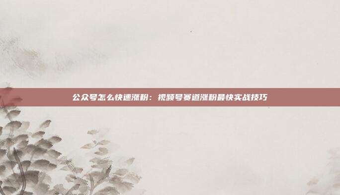 公众号怎么快速涨粉：视频号赛道涨粉最快实战技巧