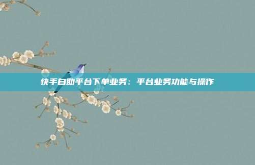 快手自助平台下单业务：平台业务功能与操作