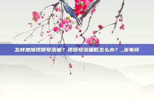 怎样增加视频号流量？视频号流量低怎么办？_柒电商