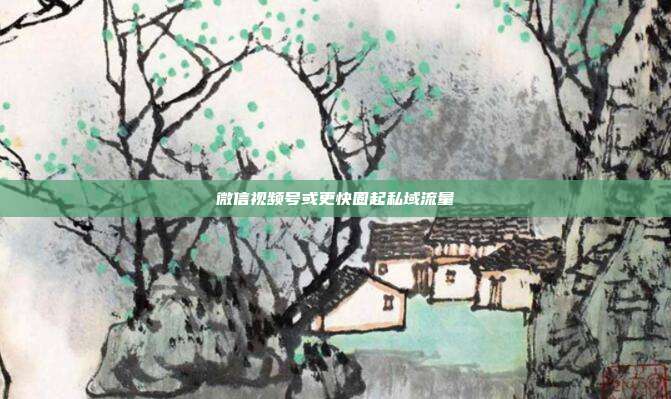 微信视频号或更快圈起私域流量