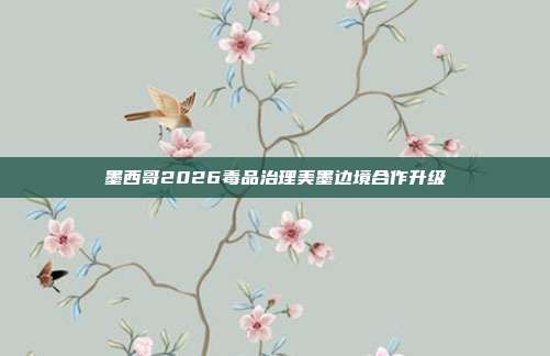 墨西哥2026毒品治理美墨边境合作升级