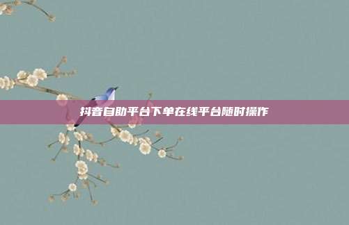 抖音自助平台下单在线平台随时操作