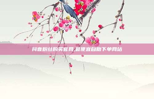 抖音粉丝购买官网,最便宜自助下单网站