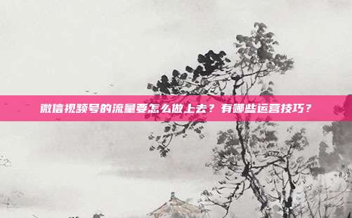 微信视频号的流量要怎么做上去?有哪些运营技巧?