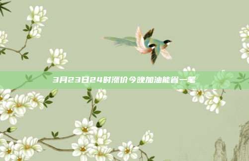 3月23日24时涨价今晚加油能省一笔