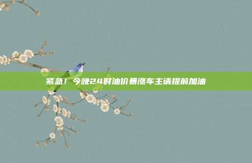 紧急！今晚24时油价暴涨车主请提前加油