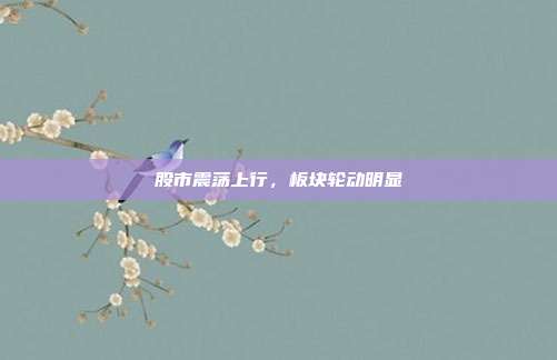 股市震荡上行，板块轮动明显