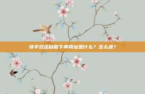 快手双击自助下单网址是什么？怎么进？