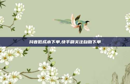 抖音低成本下单,快手刷关注自助下单