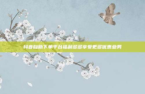 抖音自助下单平台福利多多享受更多优惠业务