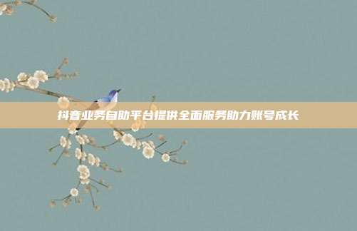 抖音业务自助平台提供全面服务助力账号成长