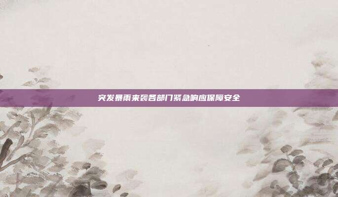 突发暴雨来袭各部门紧急响应保障安全