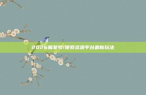 2026熊掌号/搜索资源平台最新玩法
