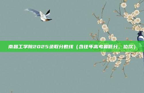 南昌工学院2025录取分数线(含往年高考最低分、位次)