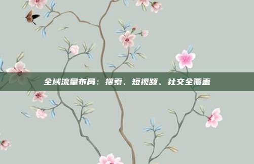 全域流量布局：搜索、短视频、社交全覆盖