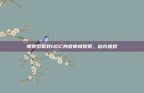 搜索引擎对UGC内容审核收紧，站长应对