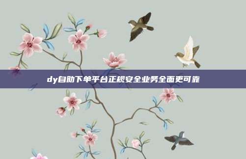 dy自助下单平台正规安全业务全面更可靠