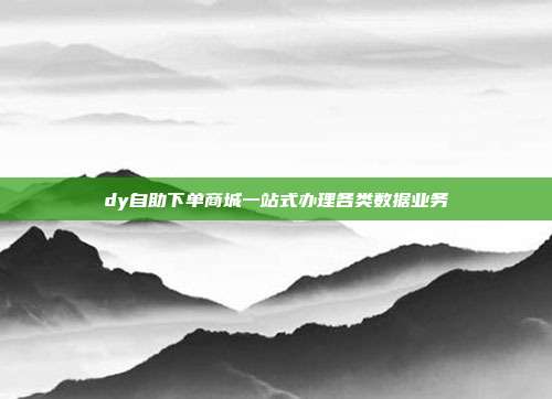 dy自助下单商城一站式办理各类数据业务