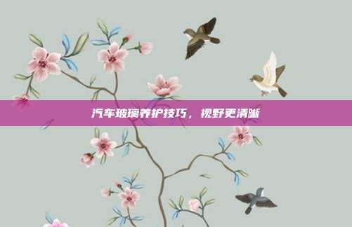 汽车玻璃养护技巧，视野更清晰