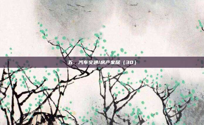 五、汽车交通/房产家居（30）