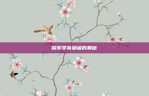 探索零食储藏的奥秘