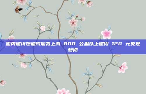 国内航线燃油附加费上调 800 公里以上航段 120 元央视新闻