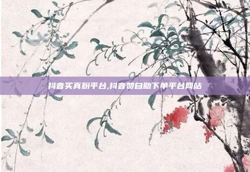 抖音买真粉平台,抖音赞自助下单平台网站