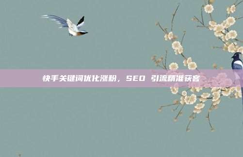 快手关键词优化涨粉，SEO 引流精准获客