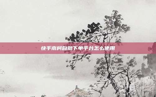 快手南柯自助下单平台怎么使用