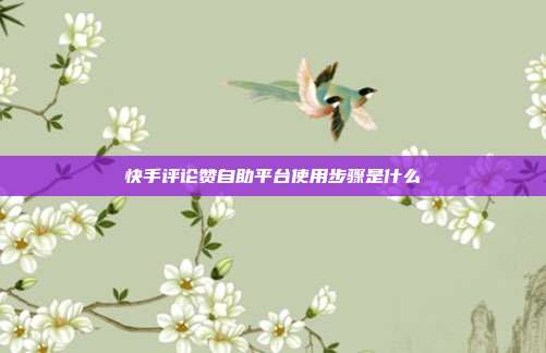 快手评论赞自助平台使用步骤是什么